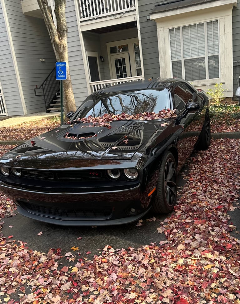 Black Dodge Challenger muscle car covered with fallen autumn leaves in a residential driveway